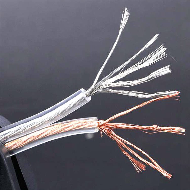 Gegnsætt hátalarasnúra